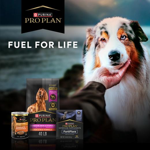Chewy ad from the Meta Ad Library